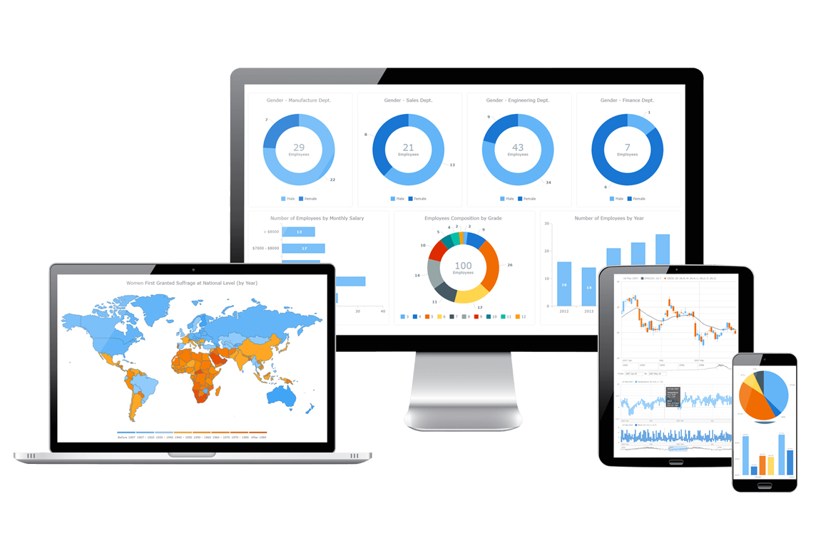 AnyChart Laravel