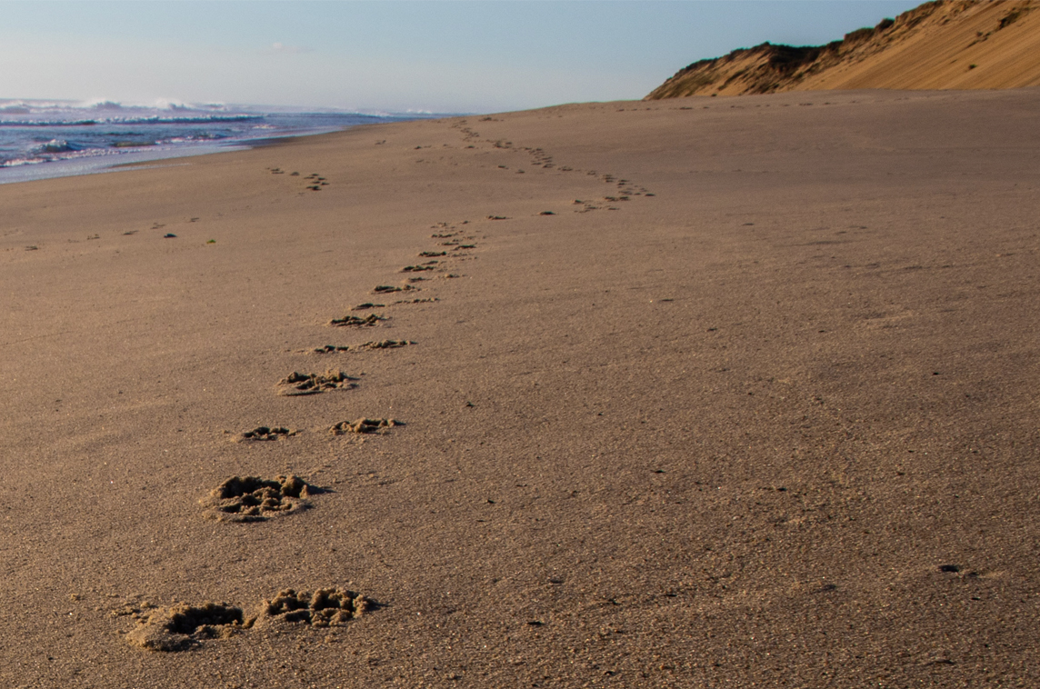 Footprints