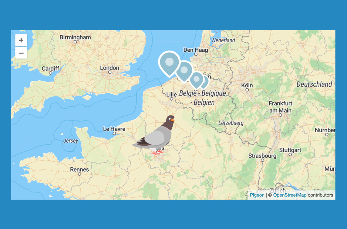 Pigeon Maps