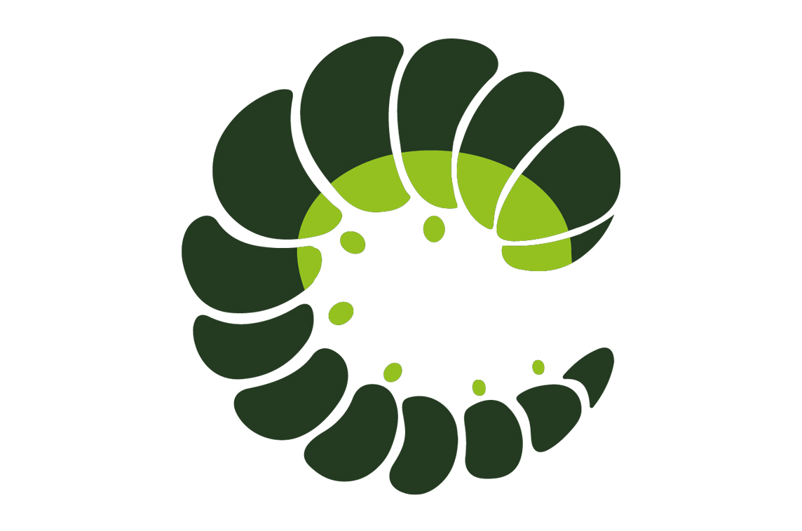 Oruga