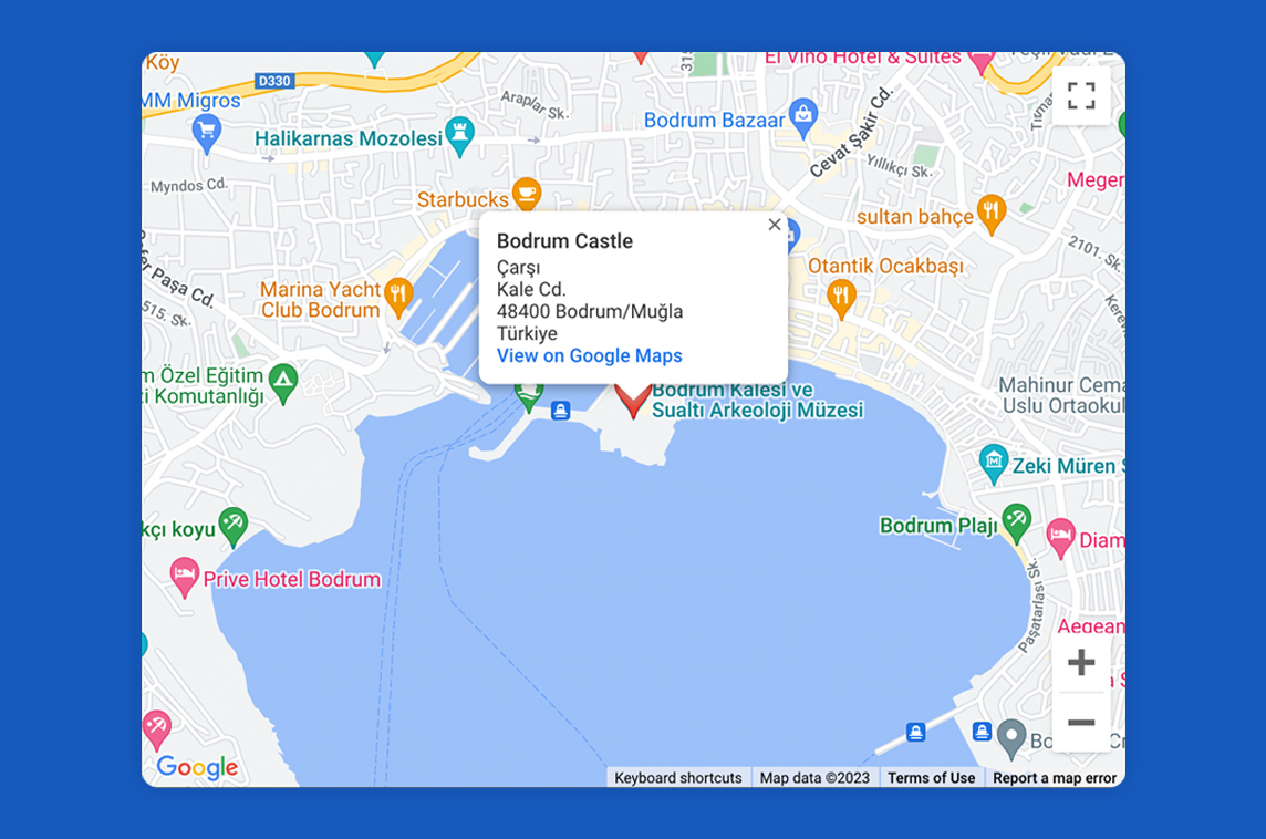 Vue Google Maps UI