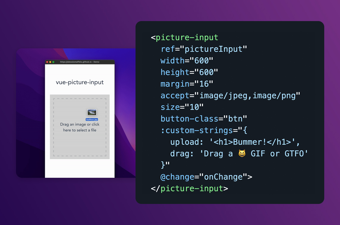 Vue Picture Input
