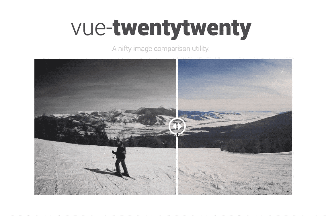 Vue TwentyTwenty