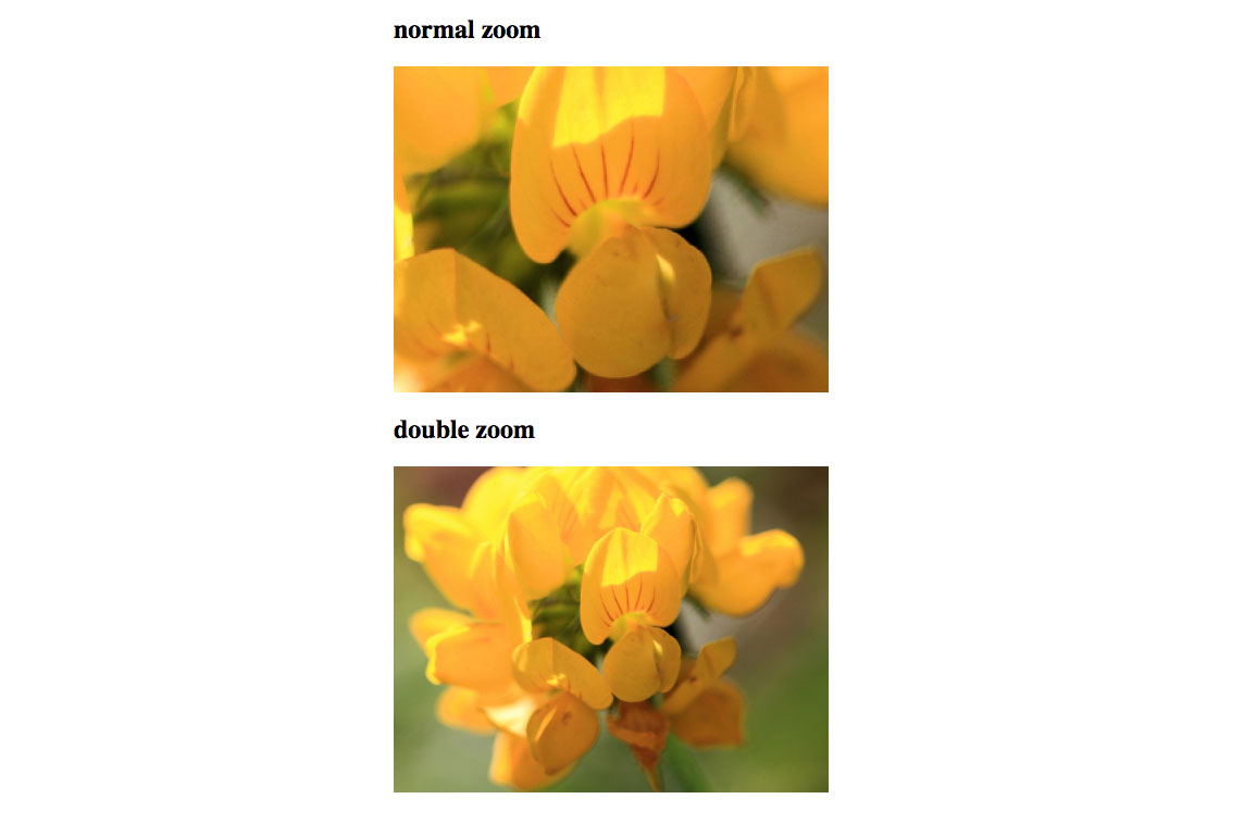 Vue Zoom on Hover
